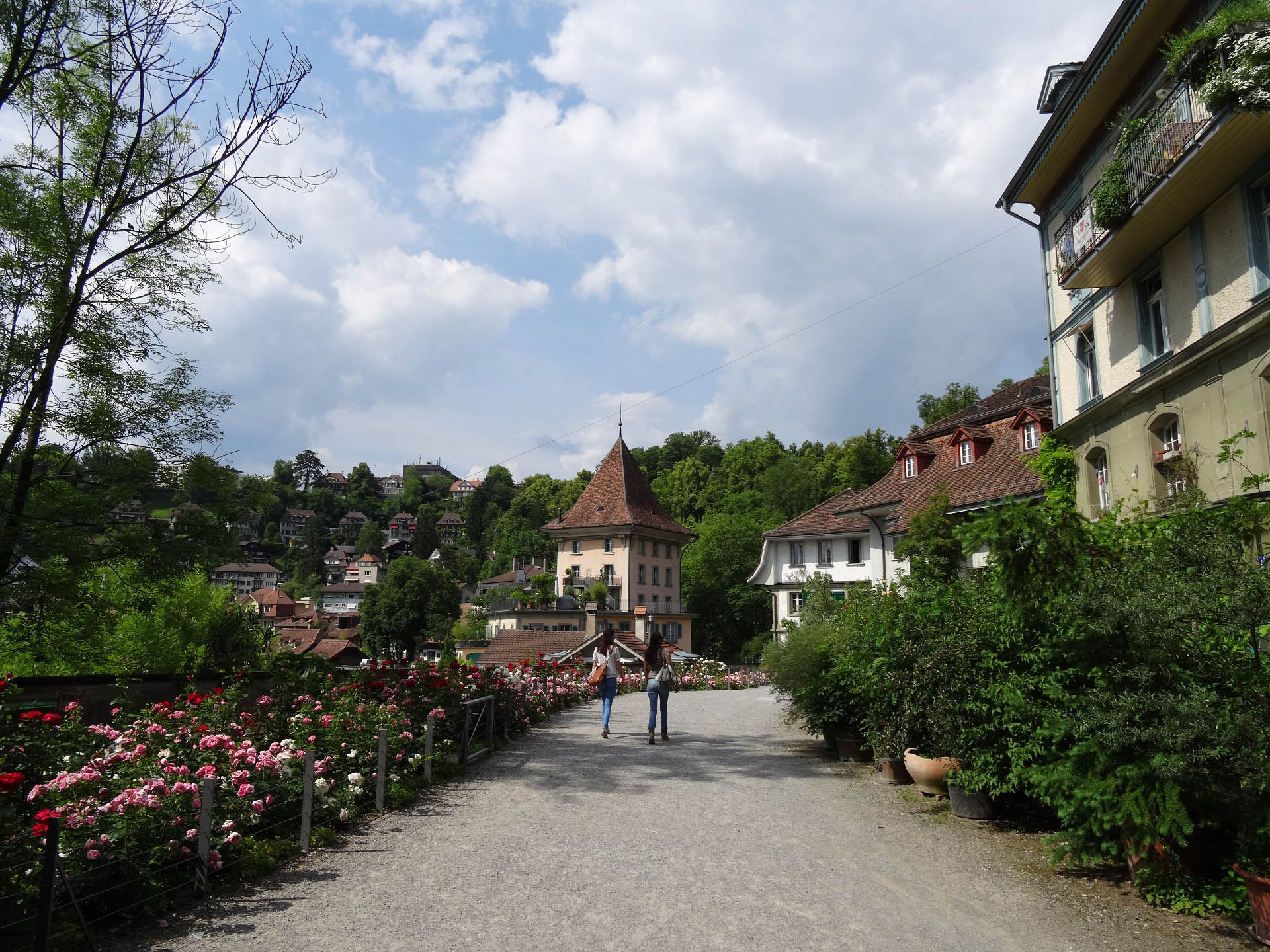 Bern